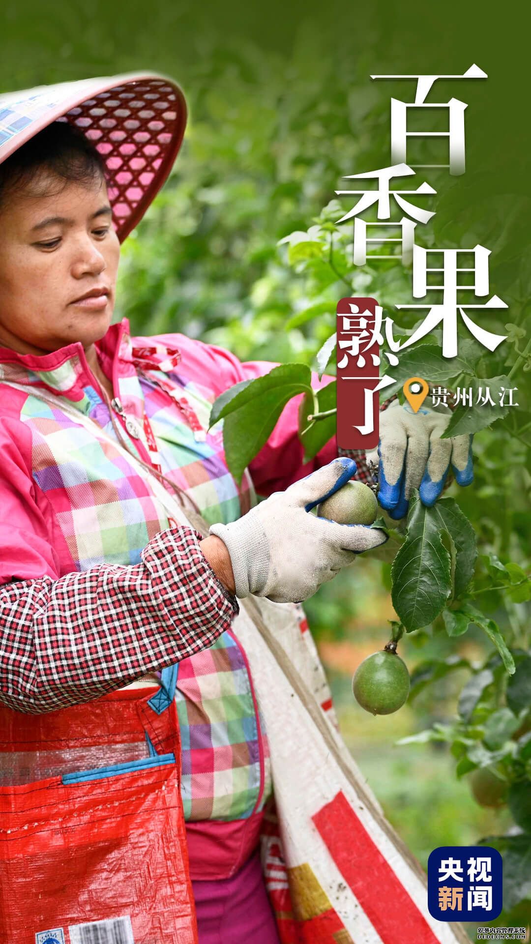 比过山车还刺激