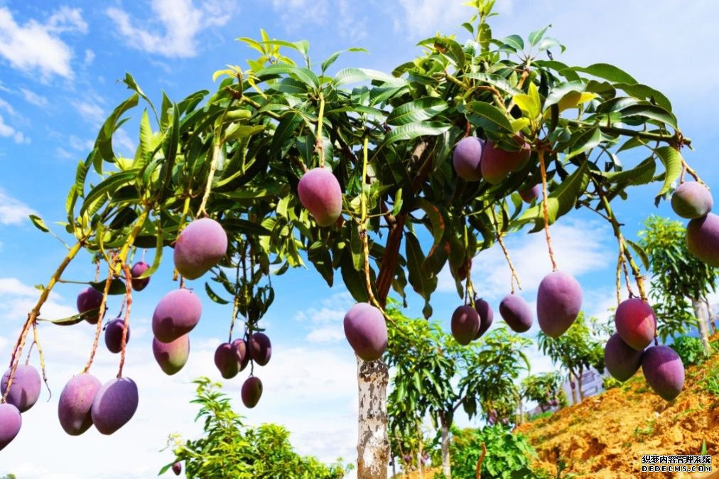 Ʒ��ʳ ��ʤ�� �����츮֮�� Ϧ�޲���֮��